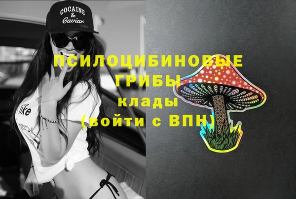 альфа пвп Магас