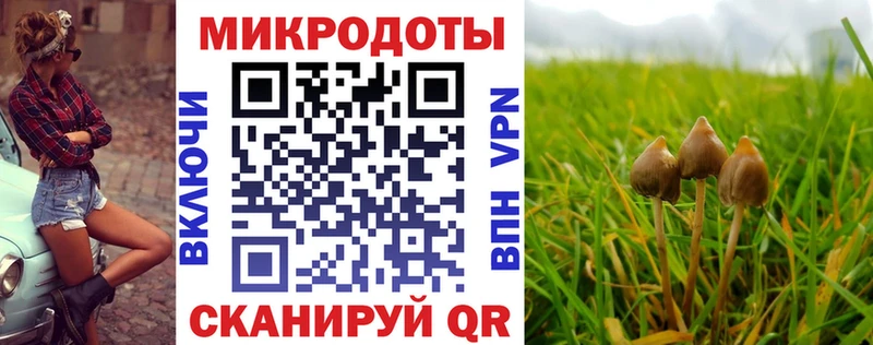 Галлюциногенные грибы Psilocybine cubensis Купить где Зея